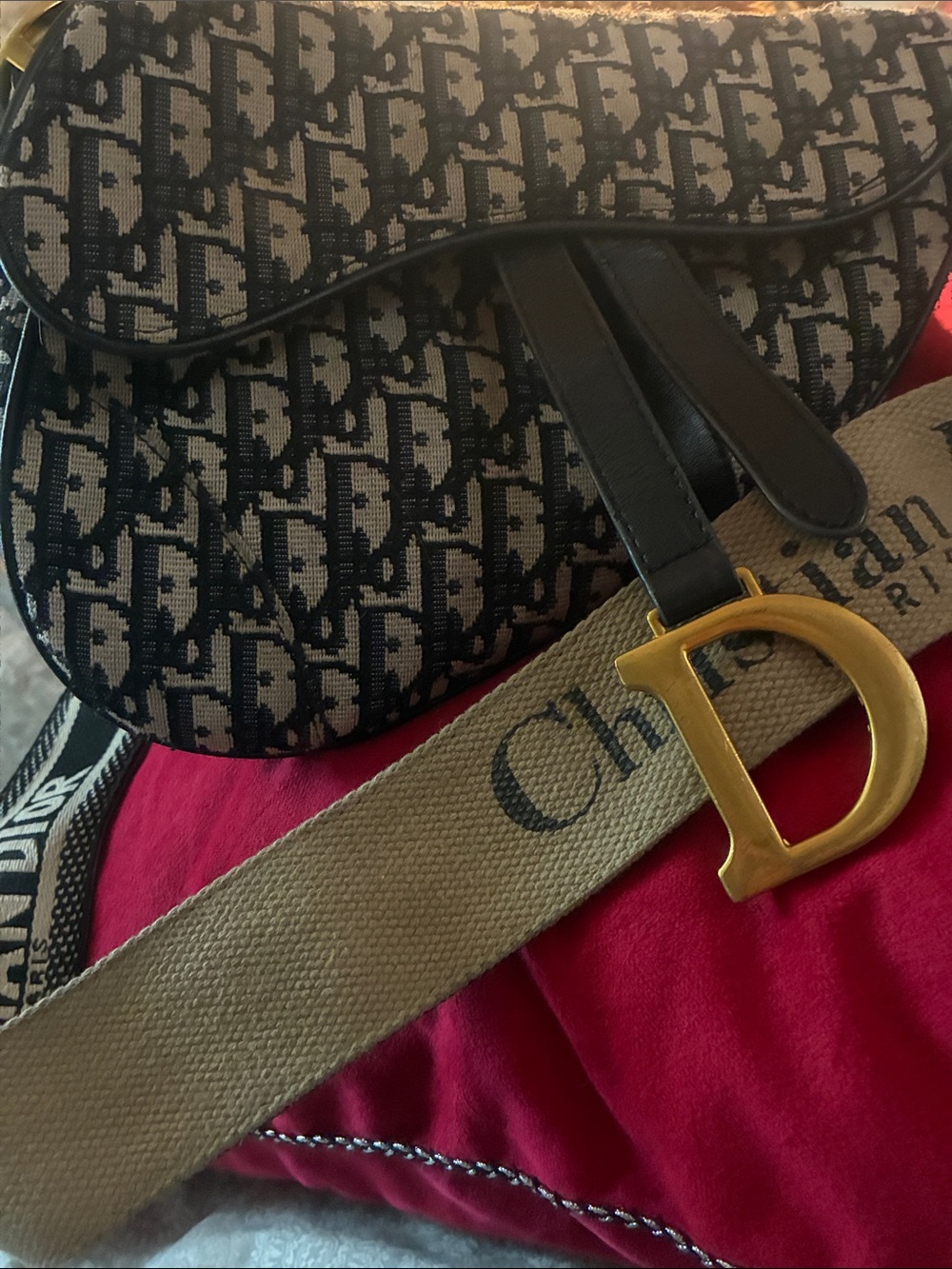Dior Saddle Bag with Gold D Charm, Black and Beige Monogram